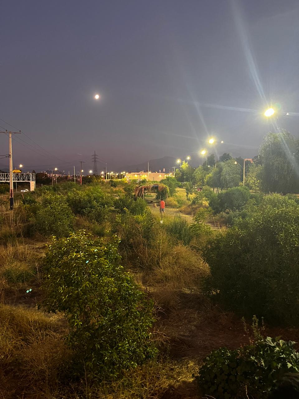 Vista del parque al caer la tarde con árboles y un espacio ya recuperado