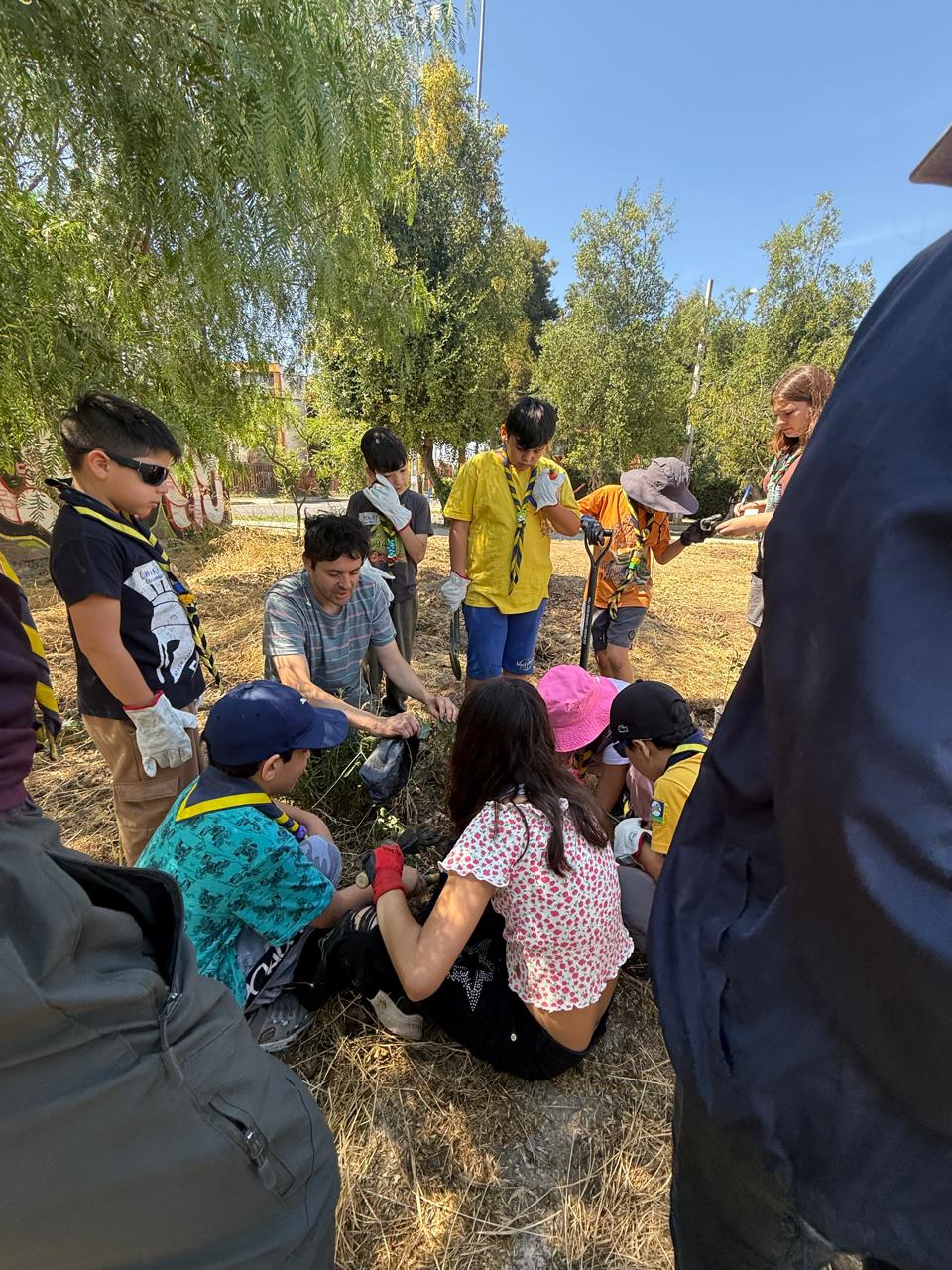 Niñas, niños y scouts participando en trabajos del parque