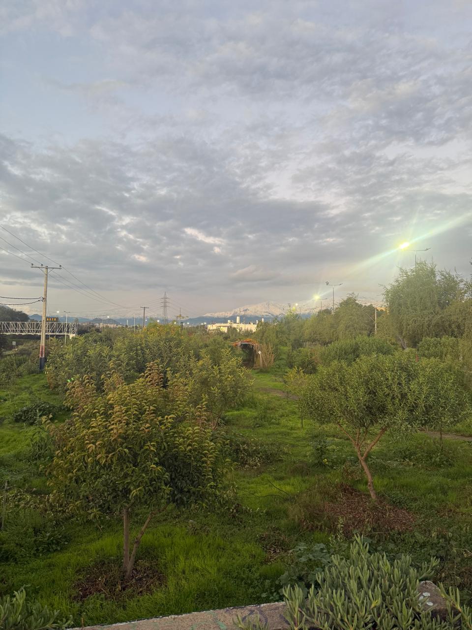 Vista verde del parque consolidado con senderos y árboles